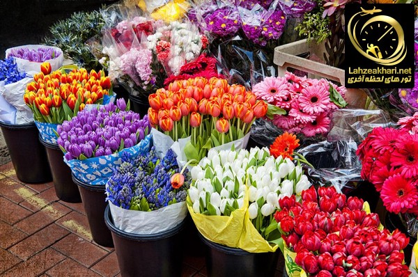 گل  های بازار نسیمی در باکو آذرباجان