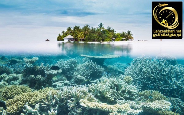 جزیره مالدیو