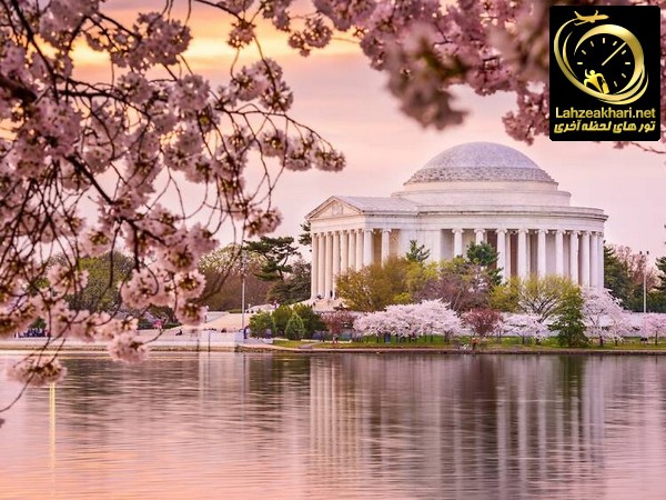 شکوفه های گیلاس در واشنگتن آمریکا