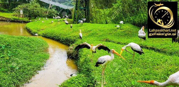 پارک پرندگان در کوالالامپور مالزی